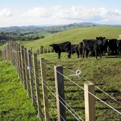 Afstandsholder pigtail hvid 17,5 cm (10)