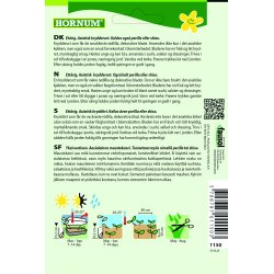 Baldmynte, Red Shiso