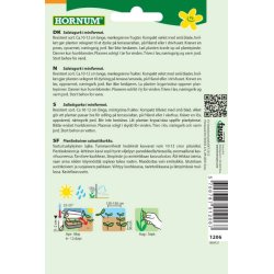 Hornum Agurk, Salat-, Iznik F1 Hybride