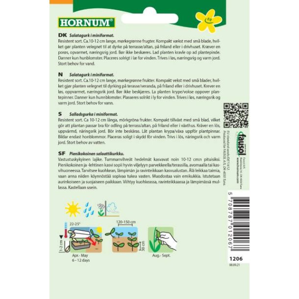 Hornum Agurk, Salat-, Iznik F1 Hybride