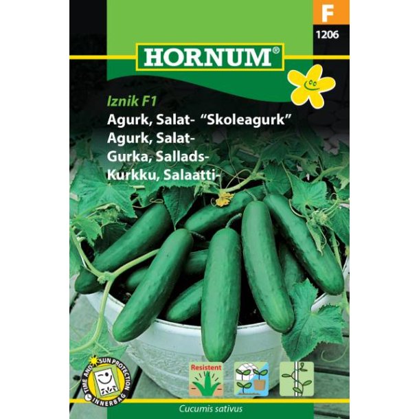 Hornum Agurk, Salat-, Iznik F1 Hybride