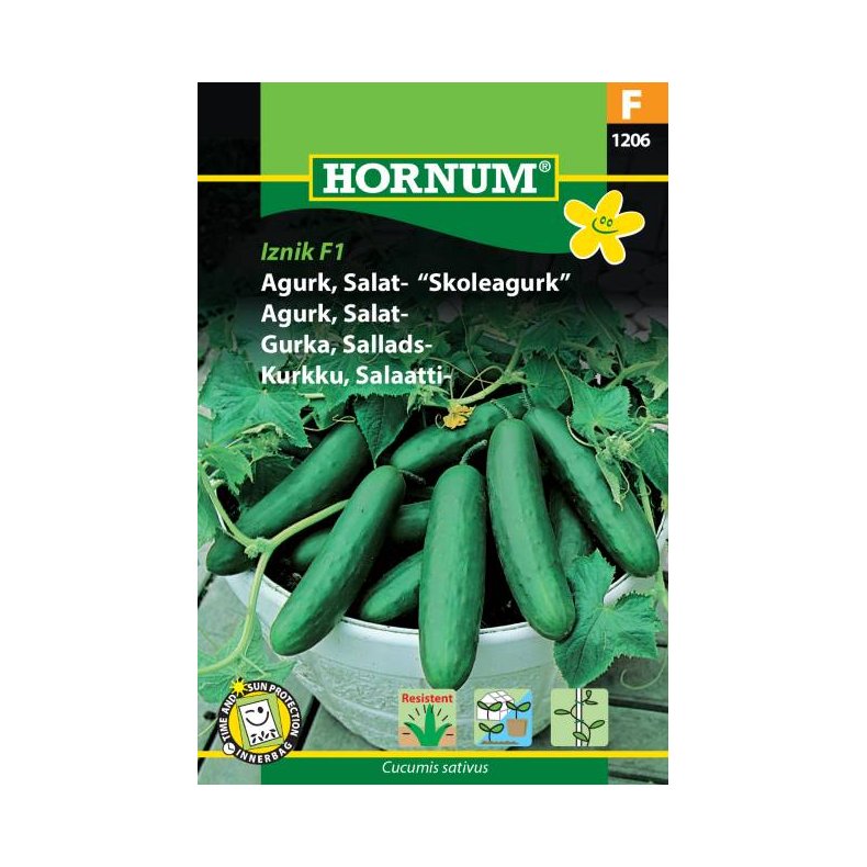 Hornum Agurk, Salat-, Iznik F1 Hybride
