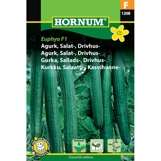 Hornum Agurk, Salat-, Drivhus-, Futura F1