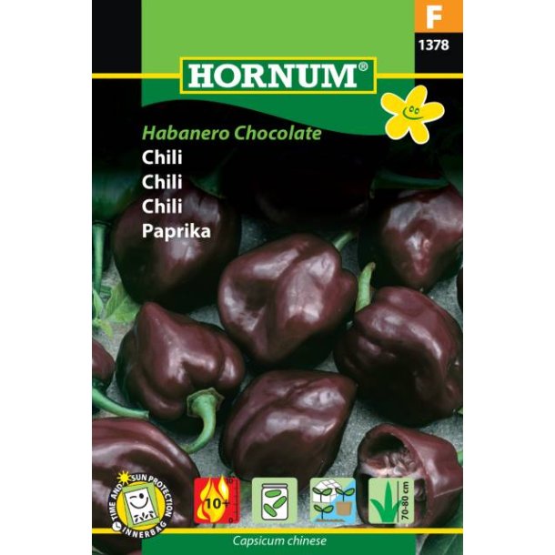 Hornum Chili, Habanero Chocolate