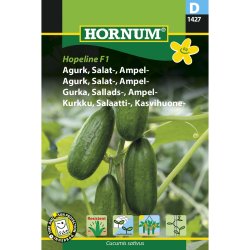 Agurk, Salat-, Ampel, Hopeline F1