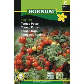 Tomat, Potte-, Tiny Tim