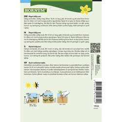 Gulerod, Sommer, Mokum F1