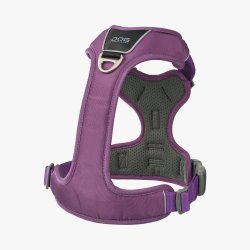 Comfort Walk Pro� Sele, Purple Passion