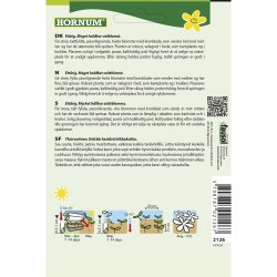 Asters, Pon-, Blue Ice