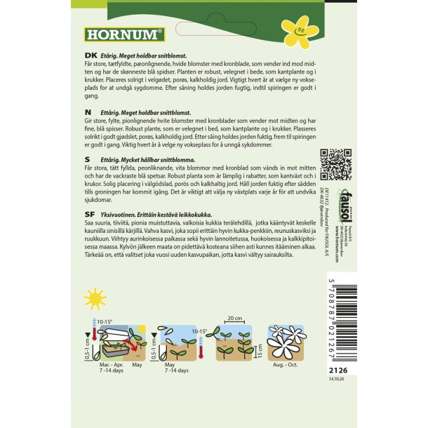 Asters, Pon-, Blue Ice