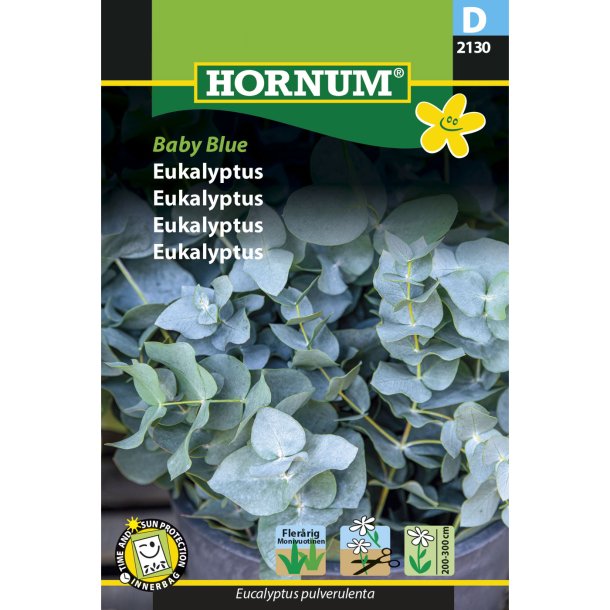 Eukalyptus, Baby Blue