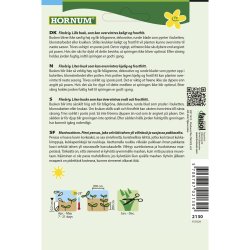 Eukalyptus, Baby Blue