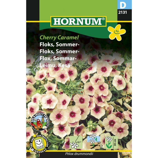 Floks, Sommer, Cherry Caramel