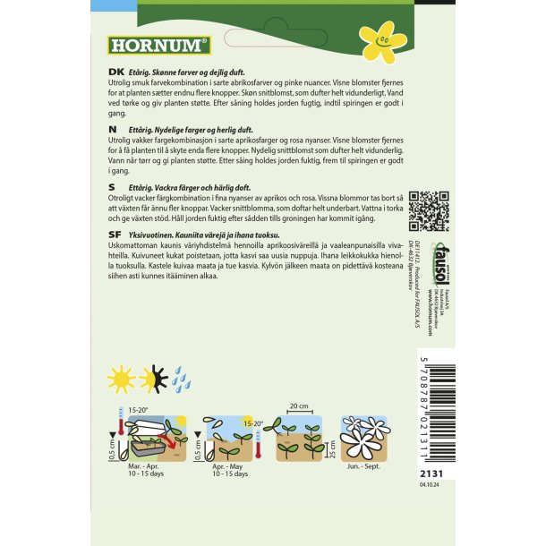 Floks, Sommer, Cherry Caramel