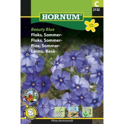 Floks, Sommer, Beauty Blue