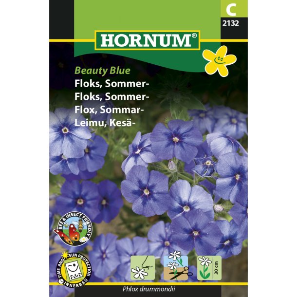 Floks, Sommer, Beauty Blue