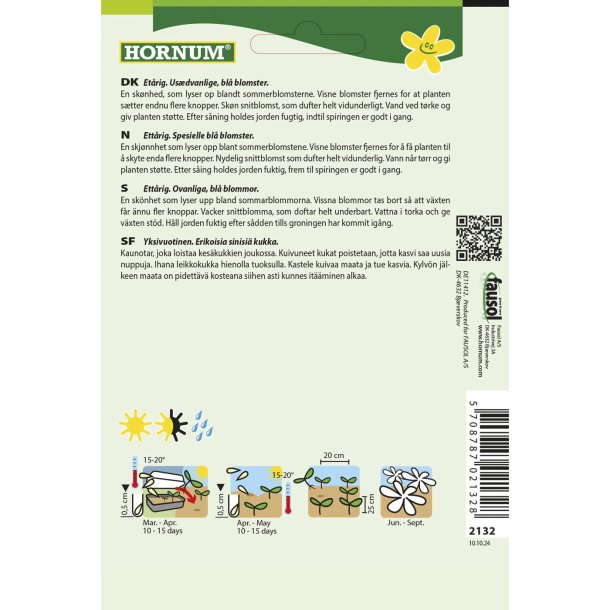 Floks, Sommer, Beauty Blue