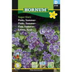 Floks, Sommer, Sugar Star