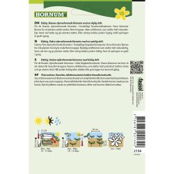 Floks, Sommer-, blanding, Twinkle Stars mix