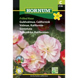 Guldvalmue, Californisk, Frilled Rose