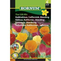 Guldvalmue, Californisk, blanding, Thai Silk Mix