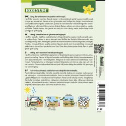 Guldvalmue, Californisk, blanding, Thai Silk Mix