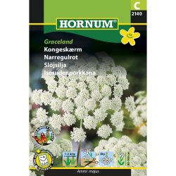 Kongeskrm, Graceland