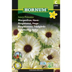 Morgenfrue, Have, Ivory Princess