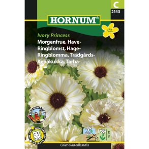 Morgenfrue, Have, Ivory Princess