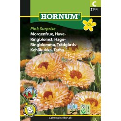 Morgenfrue, Have, Pink Surprise