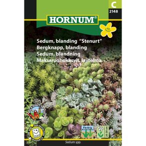 Sedum, blanding 