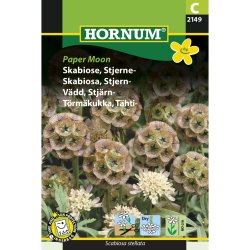 Skabiose, Stjerne, Paper Moon