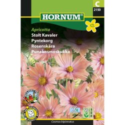 Stolt Kavaler, Apricotta