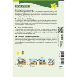 Stolt Kavaler, Apricotta