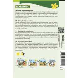 Stolt Kavaler, Cosmio Collarette