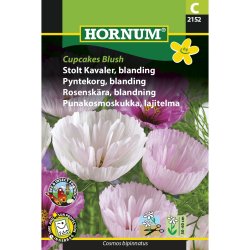 Stolt Kavaler, blanding, Cupcakes Blush