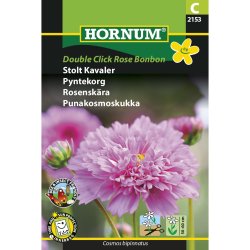 Stolt Kavaler, Double Click Rose Bonbon