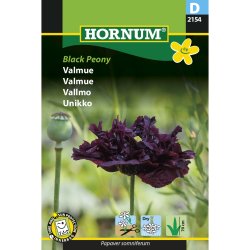 Valmue, Black Peony
