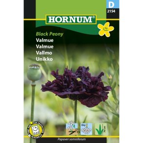 Valmue, Black Peony