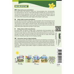 Enkeblomst, Snowmaiden