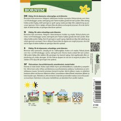 Petunia, Have, Blackberry F1