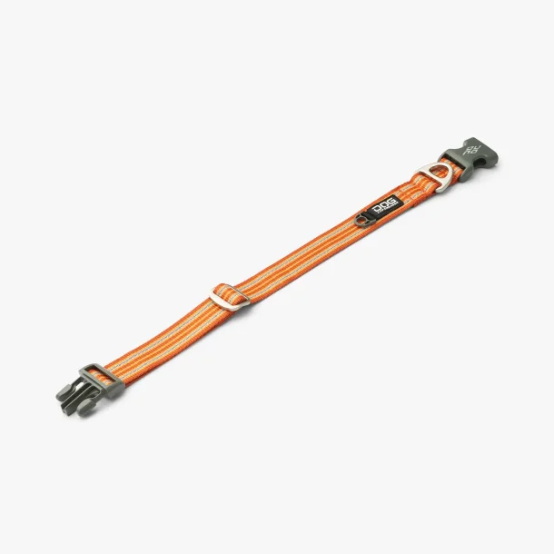 Dog Copenhagen Urban Style� Halsb�nd, Orange Sun