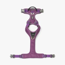 Comfort Walk Pro� Sele, Purple Passion