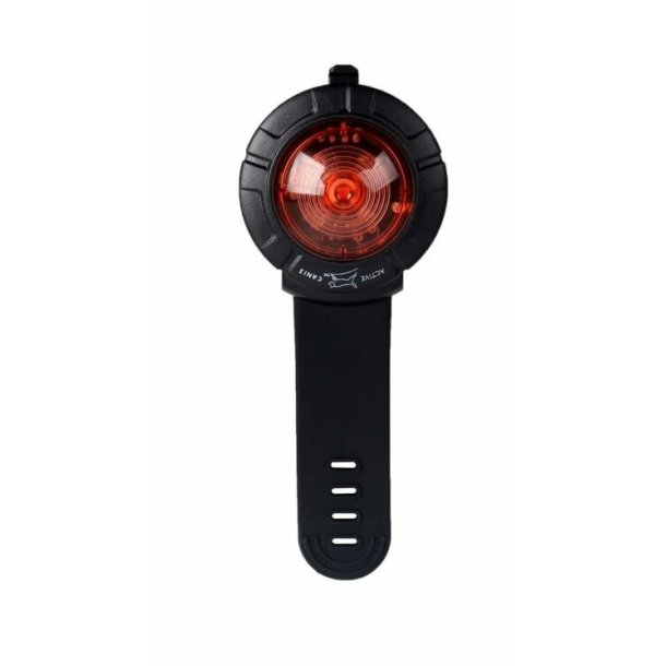 Active Canis Safety Lights Red