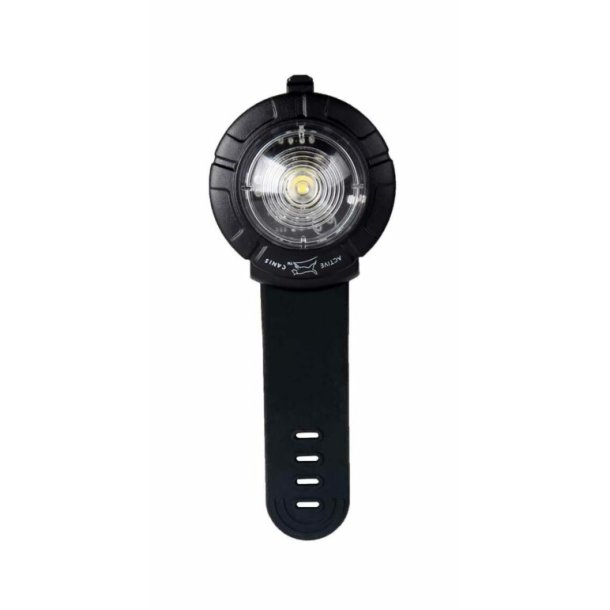 Active Canis Safety lights White