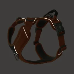 Dog Copenhagen Comfort Walk Pro� Sele, Orange Sun