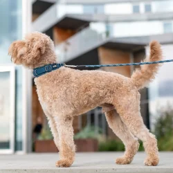 Dog Copenhagen Urban Explorer� Halsb�nd, Ocean Blue