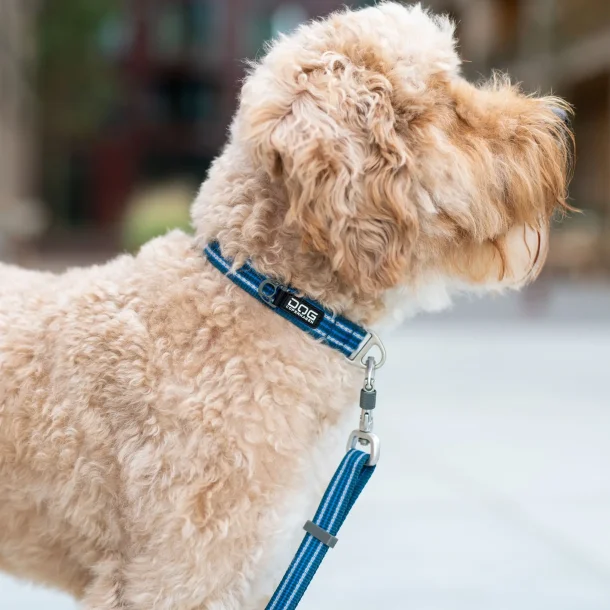 Dog Copenhagen Urban Style� Halsb�nd, Ocean Blue