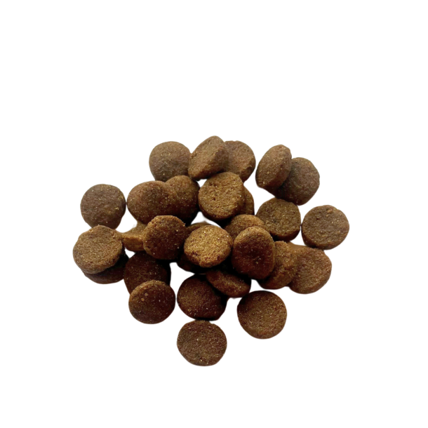 Ocean Atlantic 12 kg