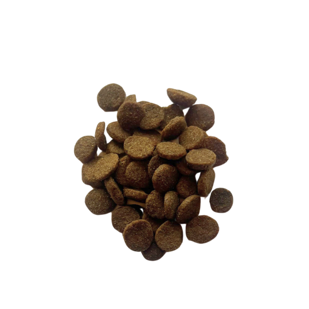 Ocean Cantabric 12 kg